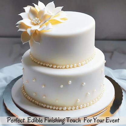 https://cdn.shopify.com/s/files/1/1857/6931/files/4_8a36989d-24da-446c-acfc-0b5e91f478d5.png?v=1769704734