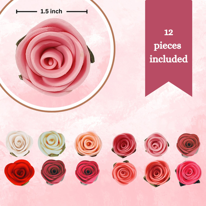 https://cdn.shopify.com/s/files/1/1857/6931/files/4_9a4ff64d-25fa-4213-82e5-5f79aa2a65f9.png?v=1769701717