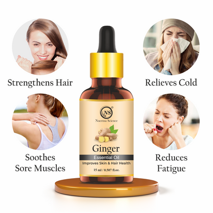 https://cdn.shopify.com/s/files/1/1857/6931/files/4_a25723e3-9202-4e34-8fd0-34746d250a89.png?v=1765546620