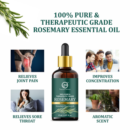 https://cdn.shopify.com/s/files/1/1857/6931/files/4_a38f9e05-7cf6-4d76-9ebc-480bc957a8ce.png?v=1765546684