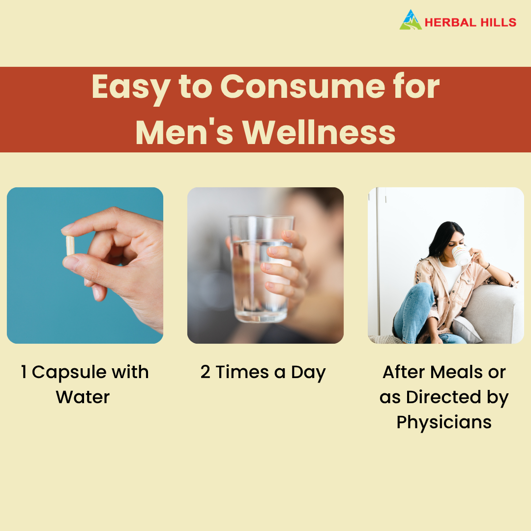 https://cdn.shopify.com/s/files/1/1857/6931/files/4_a42e3fc1-f8ee-47cf-a183-6ea0c07651dd.png?v=1760163957