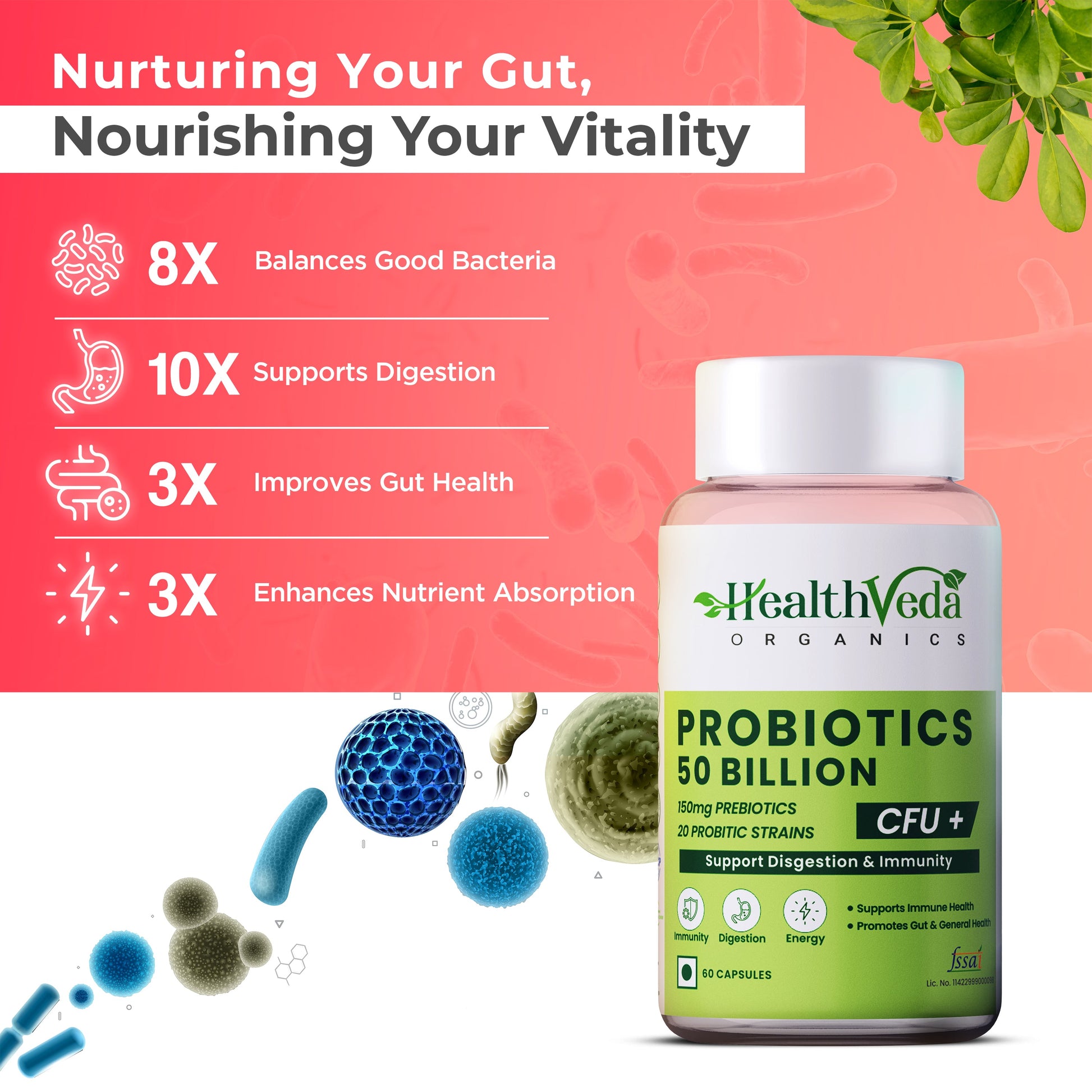 https://cdn.shopify.com/s/files/1/1857/6931/files/4_ae479d81-8038-4fcb-9ec8-3423a9c41326.jpg?v=1747306818
