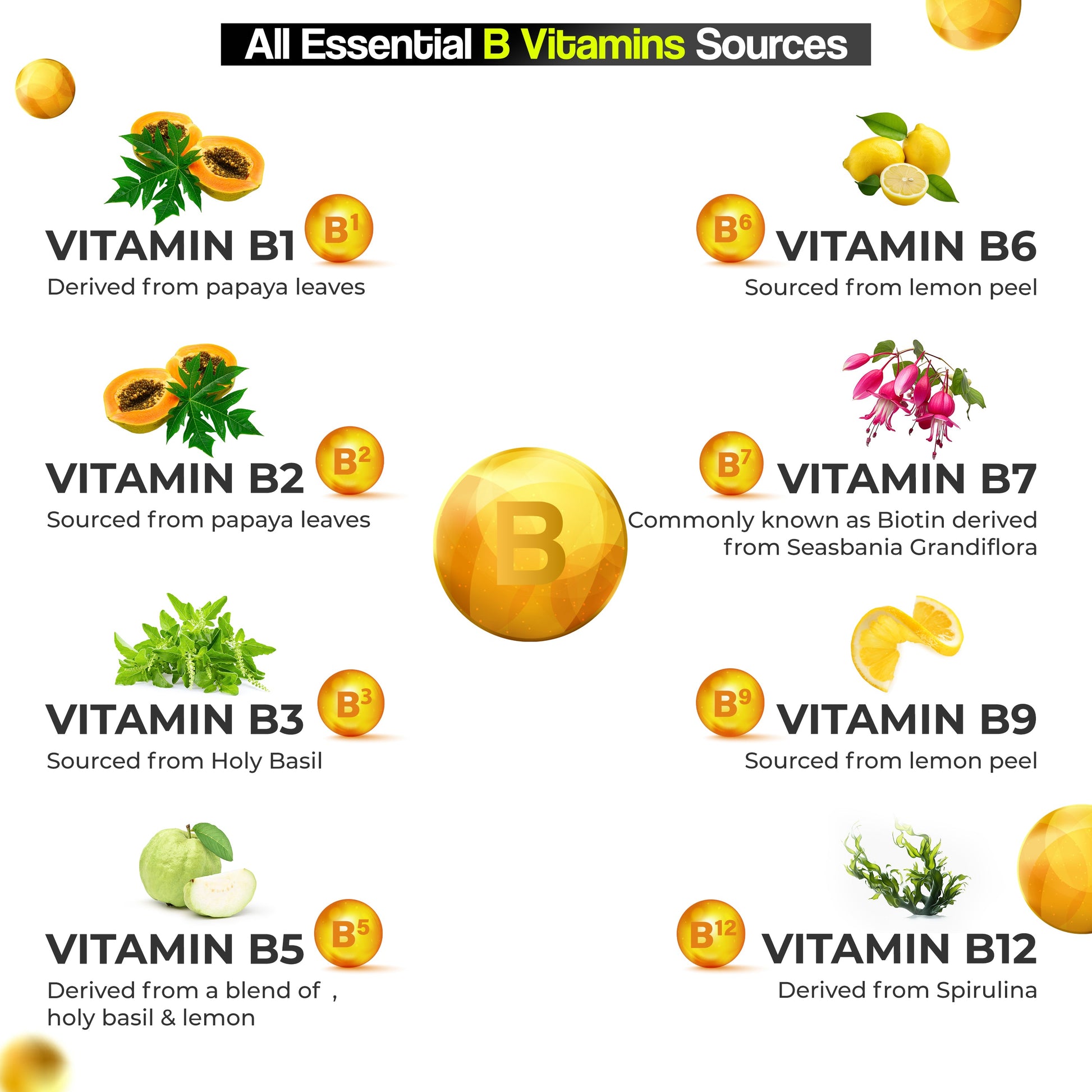 https://cdn.shopify.com/s/files/1/1857/6931/files/4_b8f878e7-716b-4956-b3e7-3771554b0eed.jpg?v=1747300537