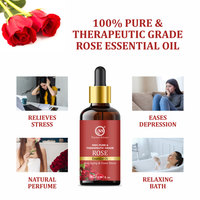 https://cdn.shopify.com/s/files/1/1857/6931/files/4_e27f61d0-0a6f-4b1e-9d72-26be5332a585.png?v=1765546689