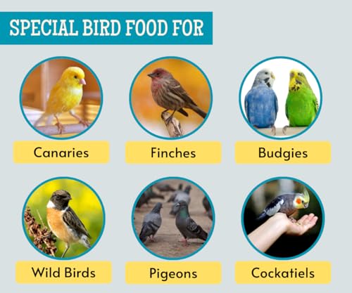 Image 6 of Foodie Puppies Foxtail Millet Kangni Seeds Bird Food - 1Kg