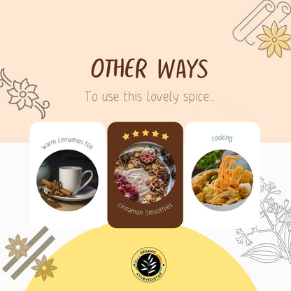 https://cdn.shopify.com/s/files/1/1857/6931/products/4dmls5uJ0P.jpg?v=1683289700