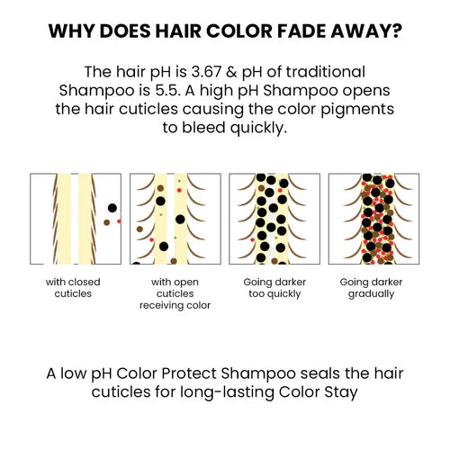 https://cdn.shopify.com/s/files/1/1857/6931/files/4eac2905-16d4-49f9-9635-9ff4b1e366ed.jpg?v=1762234641