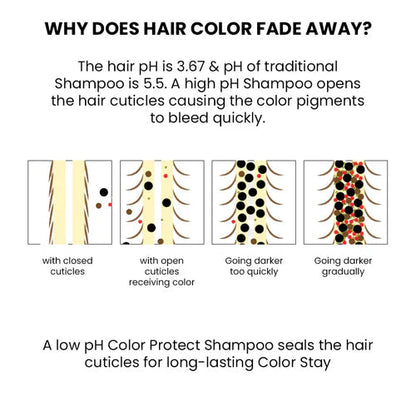 https://cdn.shopify.com/s/files/1/1857/6931/files/4eac2905-16d4-49f9-9635-9ff4b1e366ed.jpg?v=1762234641