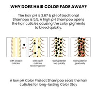 https://cdn.shopify.com/s/files/1/1857/6931/files/4eac2905-16d4-49f9-9635-9ff4b1e366ed.jpg?v=1762234641