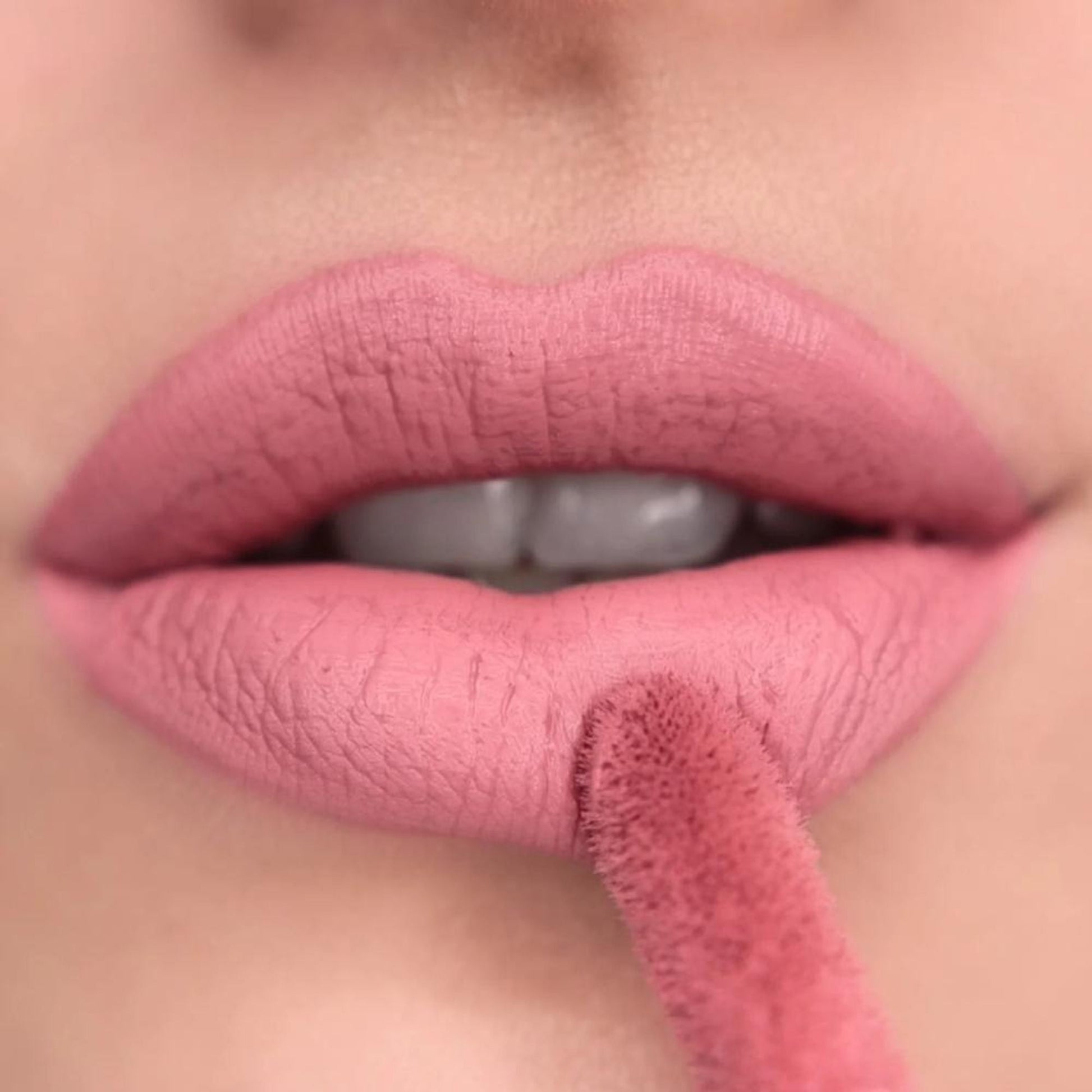 https://cdn.shopify.com/s/files/1/1857/6931/files/4f402f55057566511131_2.jpg?v=1769591047