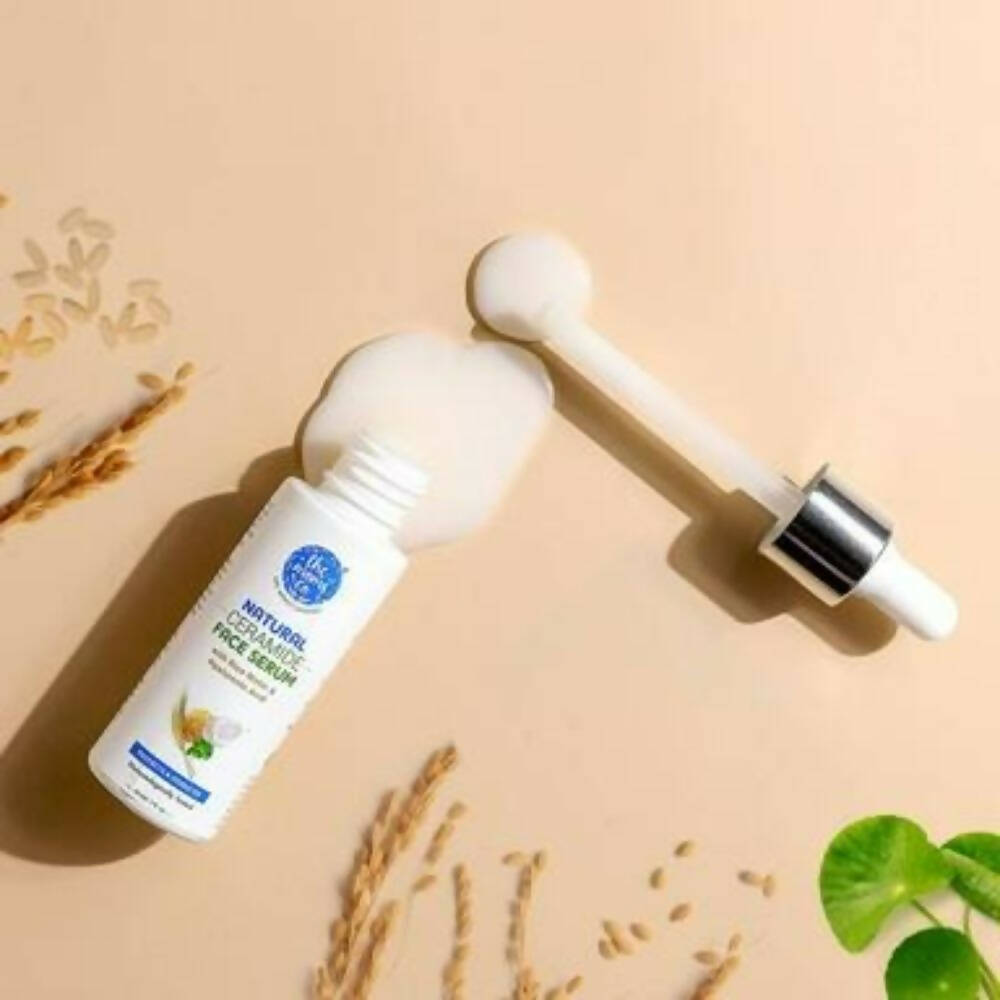 https://cdn.shopify.com/s/files/1/1857/6931/products/4hmWwIdFzs.jpg?v=1697536292