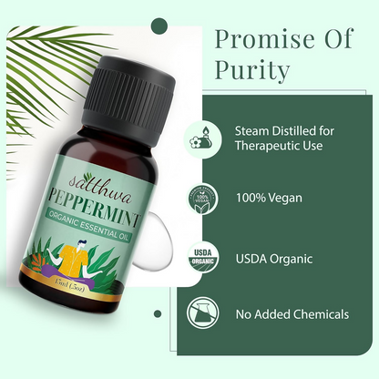 https://cdn.shopify.com/s/files/1/1857/6931/files/4kdlV6X2gG.png?v=1728279043