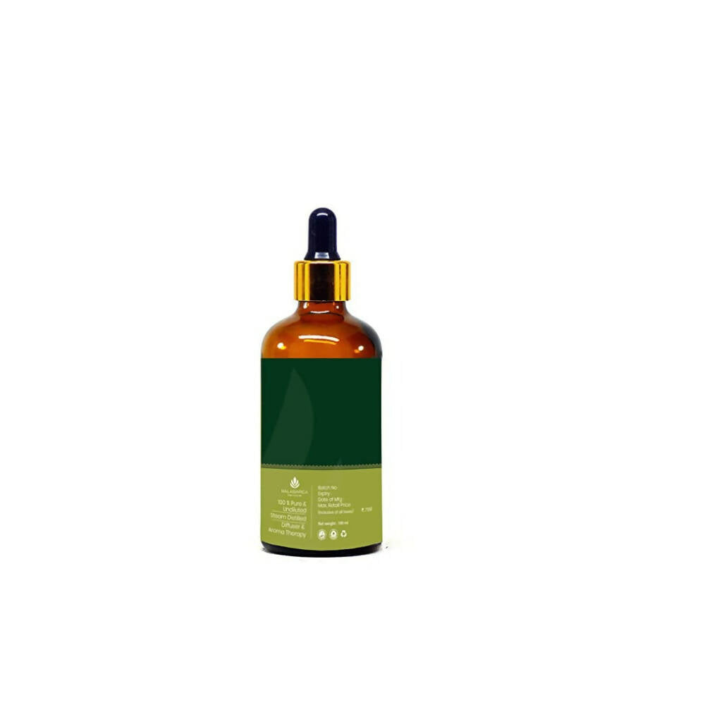 https://cdn.shopify.com/s/files/1/1857/6931/products/4lJSkHqLrs.jpg?v=1667887622