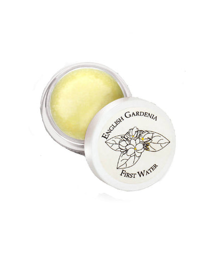 https://cdn.shopify.com/s/files/1/1857/6931/products/4rC8x8PDUt.jpg?v=1616120913