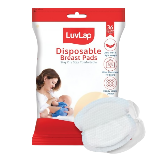 https://cdn.shopify.com/s/files/1/1857/6931/files/4rY2wdeiYT.png?v=1773378888