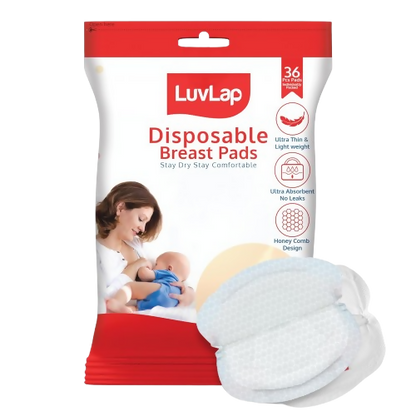 https://cdn.shopify.com/s/files/1/1857/6931/files/4rY2wdeiYT.png?v=1773378888