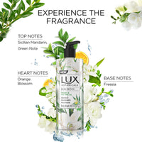 https://cdn.shopify.com/s/files/1/1857/6931/products/4vJ9KY8P6Z.jpg?v=1698232084