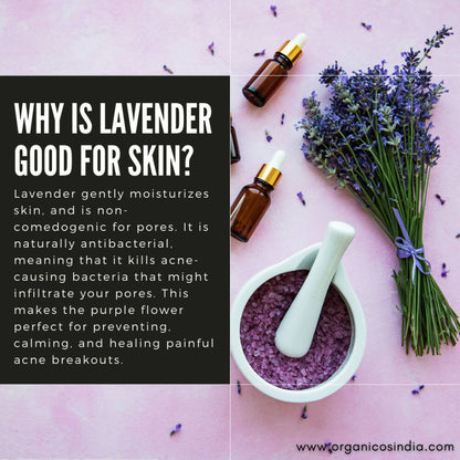 https://cdn.shopify.com/s/files/1/1857/6931/products/4xGCRdKMZn.jpg?v=1663673265