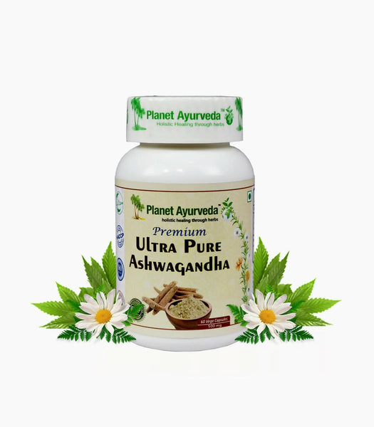 https://cdn.shopify.com/s/files/1/1857/6931/products/50flsuOe4Q.jpg?v=1762350705