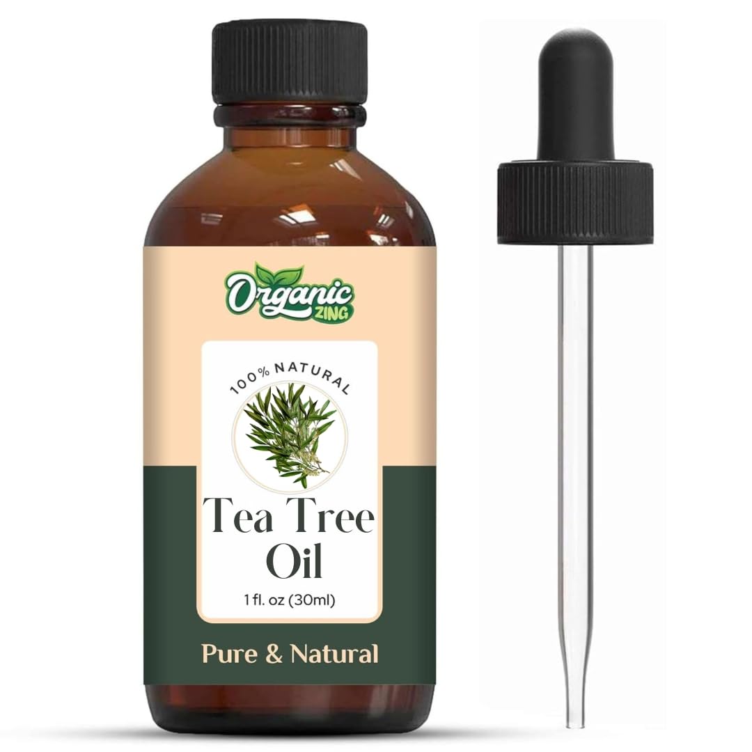 https://cdn.shopify.com/s/files/1/1857/6931/files/516xiBH8qtL.jpg?v=1761823912