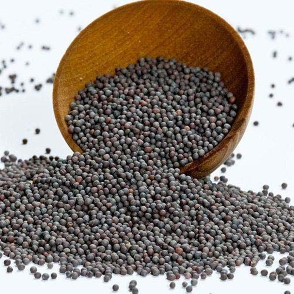 https://cdn.shopify.com/s/files/1/1857/6931/products/51AUZIGUZRL.jpg?v=1624515921