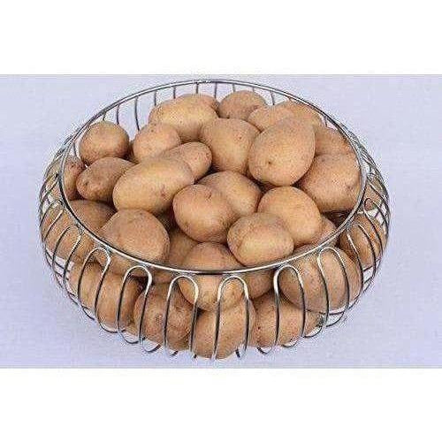 https://cdn.shopify.com/s/files/1/1857/6931/products/51BNAbdKqQL.jpg?v=1620030922