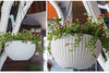 Image 1 of Go Hooked 7.1" Plastic Rattan Hanging Basket/Hanging Pots with Metal Hanging Chain/Hanging Planters Set of 5 (White) (Flowers Not Included)