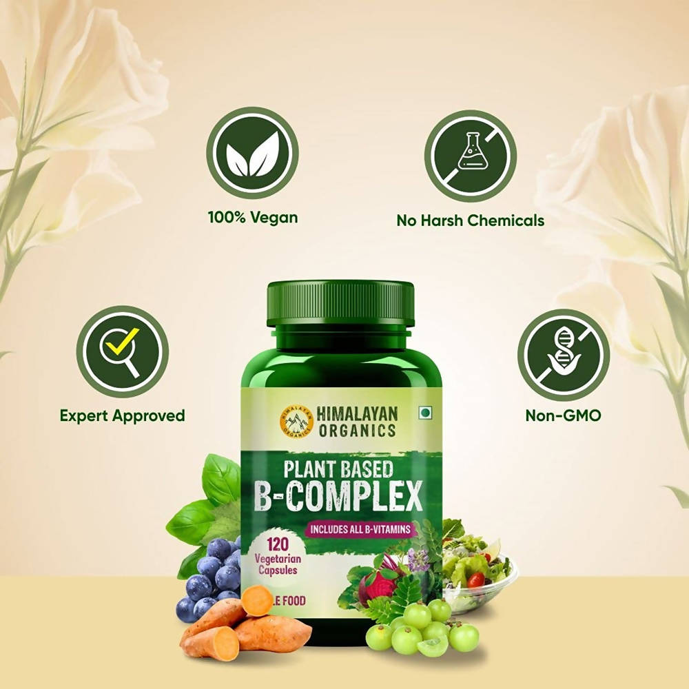 https://cdn.shopify.com/s/files/1/1857/6931/products/51SE3f4DM8.jpg?v=1718274278