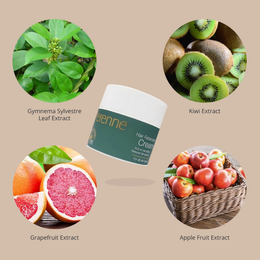 https://cdn.shopify.com/s/files/1/1857/6931/files/51SMK2fyB6.png?v=1726061009
