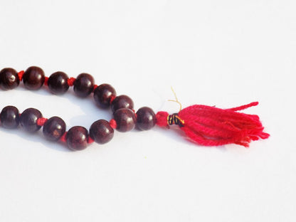 https://cdn.shopify.com/s/files/1/1857/6931/products/51TWnSJZJpL._SL1024.jpg?v=1637842704