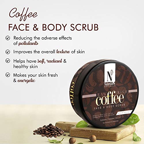 https://cdn.shopify.com/s/files/1/1857/6931/files/51U7-_FCiJL_f538c8f3-bdd2-40c0-9f0a-287c6e9918e5.jpg?v=1768387025