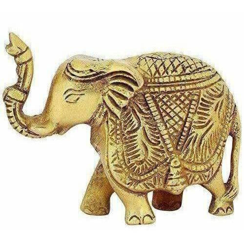 https://cdn.shopify.com/s/files/1/1857/6931/products/51Uk4TUNxpL.jpg?v=1620003302
