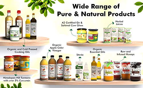 https://cdn.shopify.com/s/files/1/1857/6931/files/51W8ilApKkL.jpg?v=1773119741