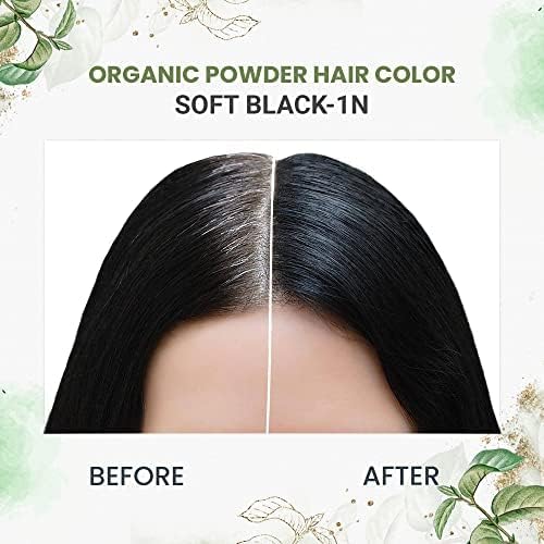 https://cdn.shopify.com/s/files/1/1857/6931/files/51WVShrGnLL.jpg?v=1777982209