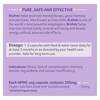 https://cdn.shopify.com/s/files/1/1857/6931/products/51dnFlLywiL.jpg?v=1737560818