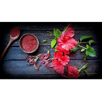 https://cdn.shopify.com/s/files/1/1857/6931/products/51lGFReQ4oL._UL1500.jpg?v=1623222686