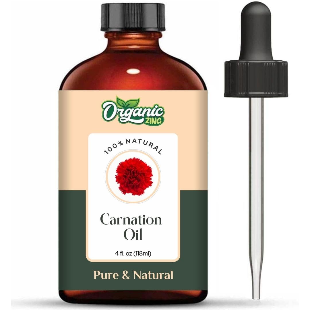 https://cdn.shopify.com/s/files/1/1857/6931/files/51mPHkyZJaL.jpg?v=1761823738