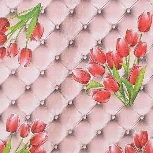 https://cdn.shopify.com/s/files/1/1857/6931/products/51nMzxgiDTL.jpg?v=1620004253