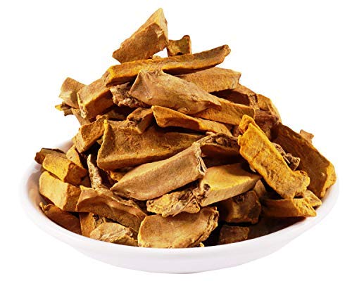 https://cdn.shopify.com/s/files/1/1857/6931/files/51tLgJqNUqL.jpg?v=1762928188