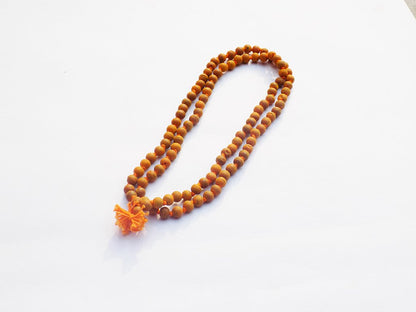 https://cdn.shopify.com/s/files/1/1857/6931/products/51xaikhdhuL._SL1024.jpg?v=1759295665