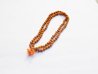 https://cdn.shopify.com/s/files/1/1857/6931/products/51xaikhdhuL._SL1024.jpg?v=1759295665
