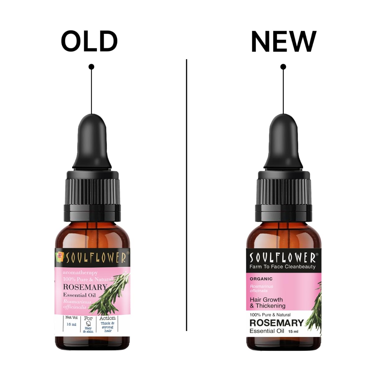 https://cdn.shopify.com/s/files/1/1857/6931/files/51xiSTUADfL._SL1200.jpg?v=1711690751