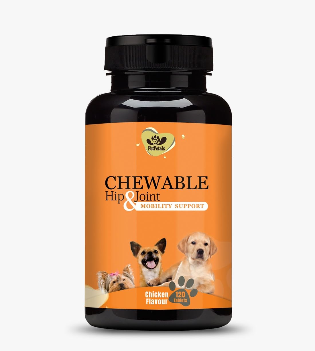 https://cdn.shopify.com/s/files/1/1857/6931/files/51ze7apaIdL.jpg?v=1770706116