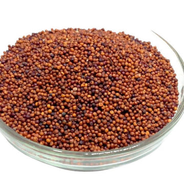 https://cdn.shopify.com/s/files/1/1857/6931/products/524qiTxkv8.jpg?v=1759278515