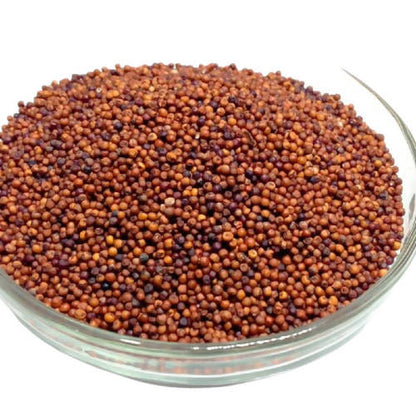 https://cdn.shopify.com/s/files/1/1857/6931/products/524qiTxkv8.jpg?v=1759278515