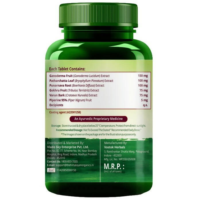 https://cdn.shopify.com/s/files/1/1857/6931/products/52JTpT7Gos.jpg?v=1695120154