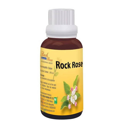 https://cdn.shopify.com/s/files/1/1857/6931/products/52oxdQvu2N.jpg?v=1762313585
