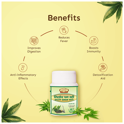 https://cdn.shopify.com/s/files/1/1857/6931/files/530d6a4b76ef48b8873eaf4cda00617a.png?v=1765799766