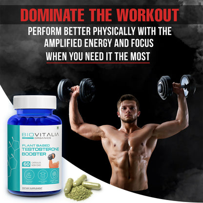 https://cdn.shopify.com/s/files/1/1857/6931/files/532PnlK4iy.jpg?v=1727352898