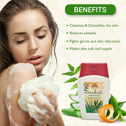 https://cdn.shopify.com/s/files/1/1857/6931/products/53viT0pKcb.jpg?v=1630671991